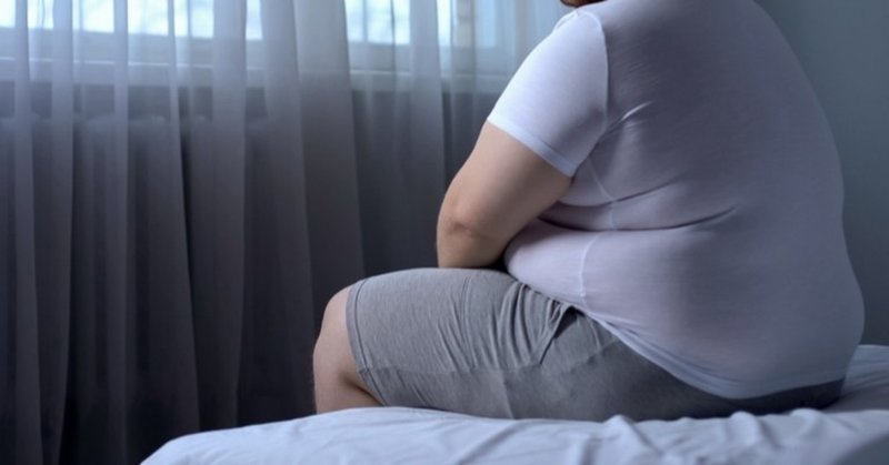 ってか なんで太るのか の科学的なこたえ おおたしじみ note