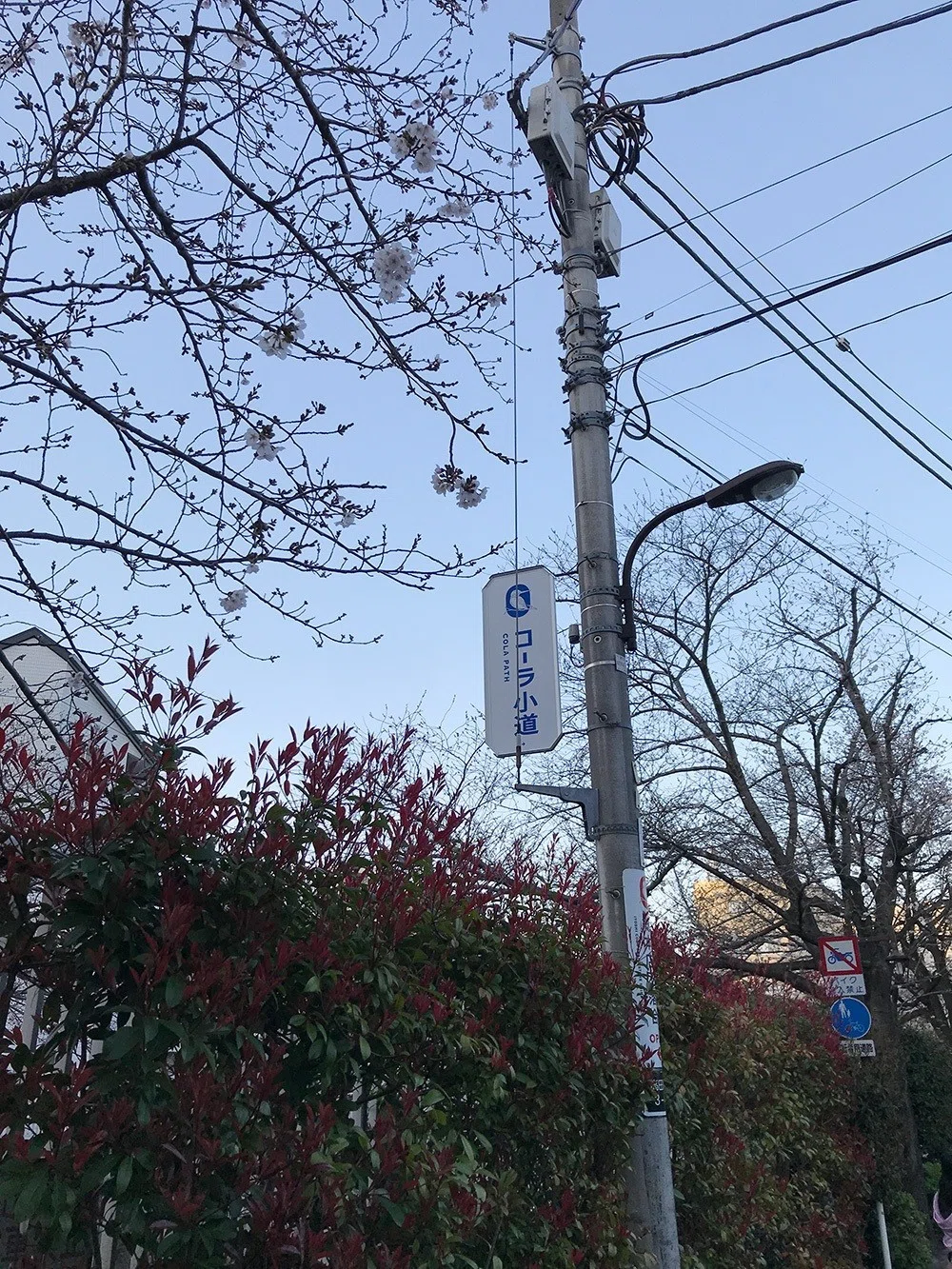 画像11