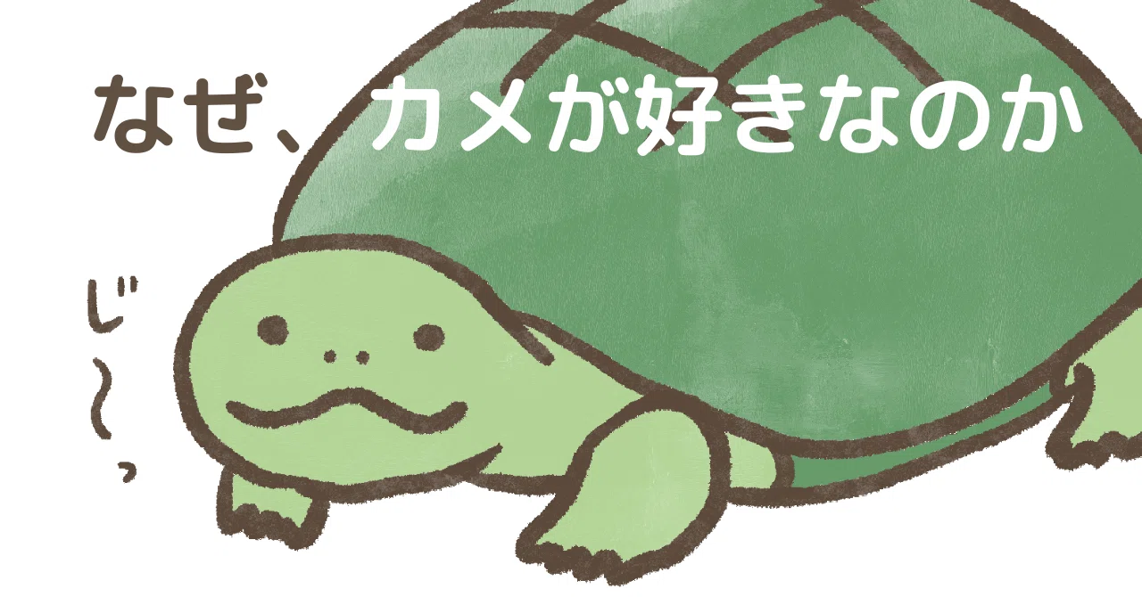 なぜ、カメが好きなのか？｜ガラパグ