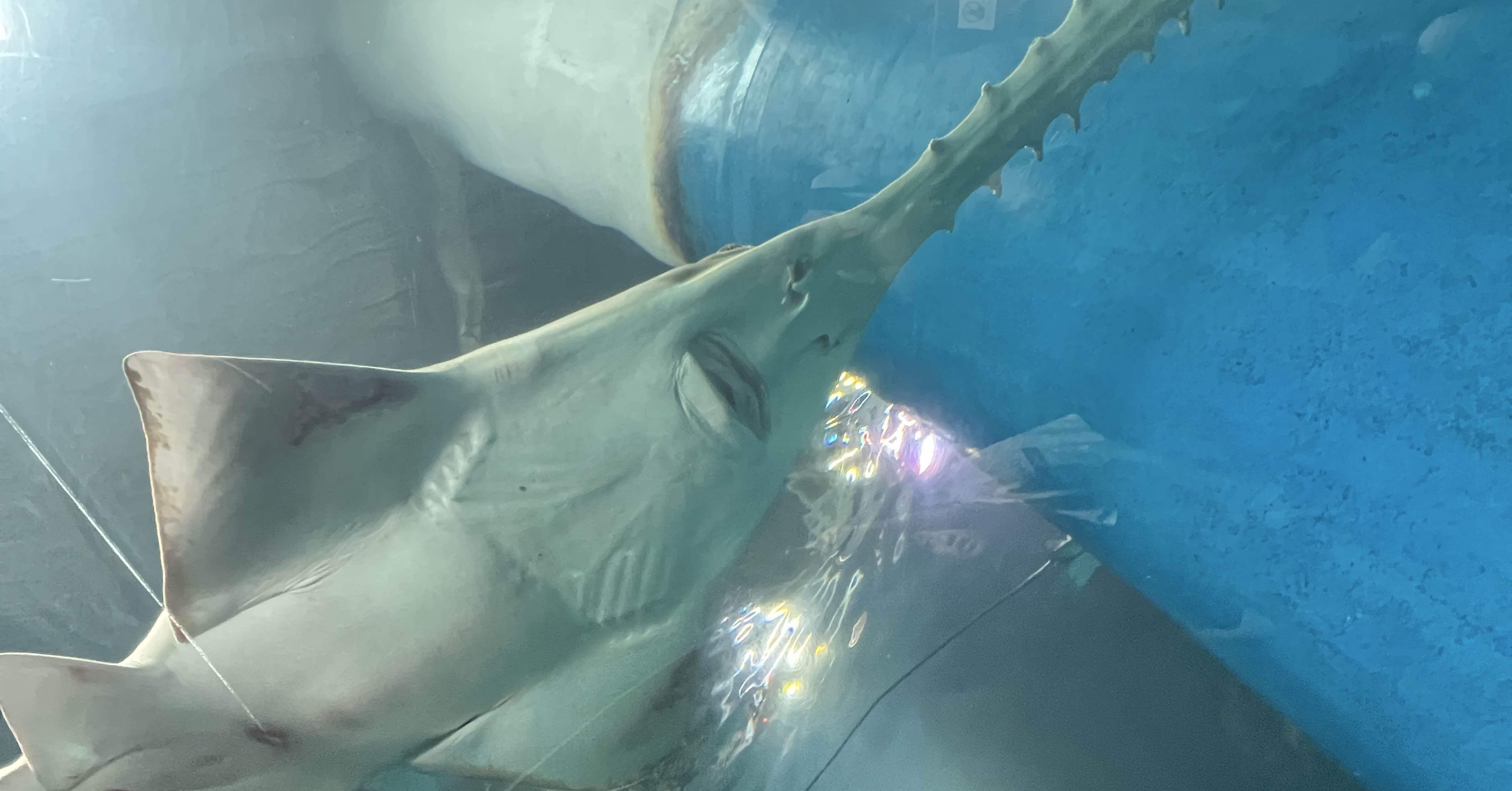 9012e6db5a41cc2094deeb3c776be9