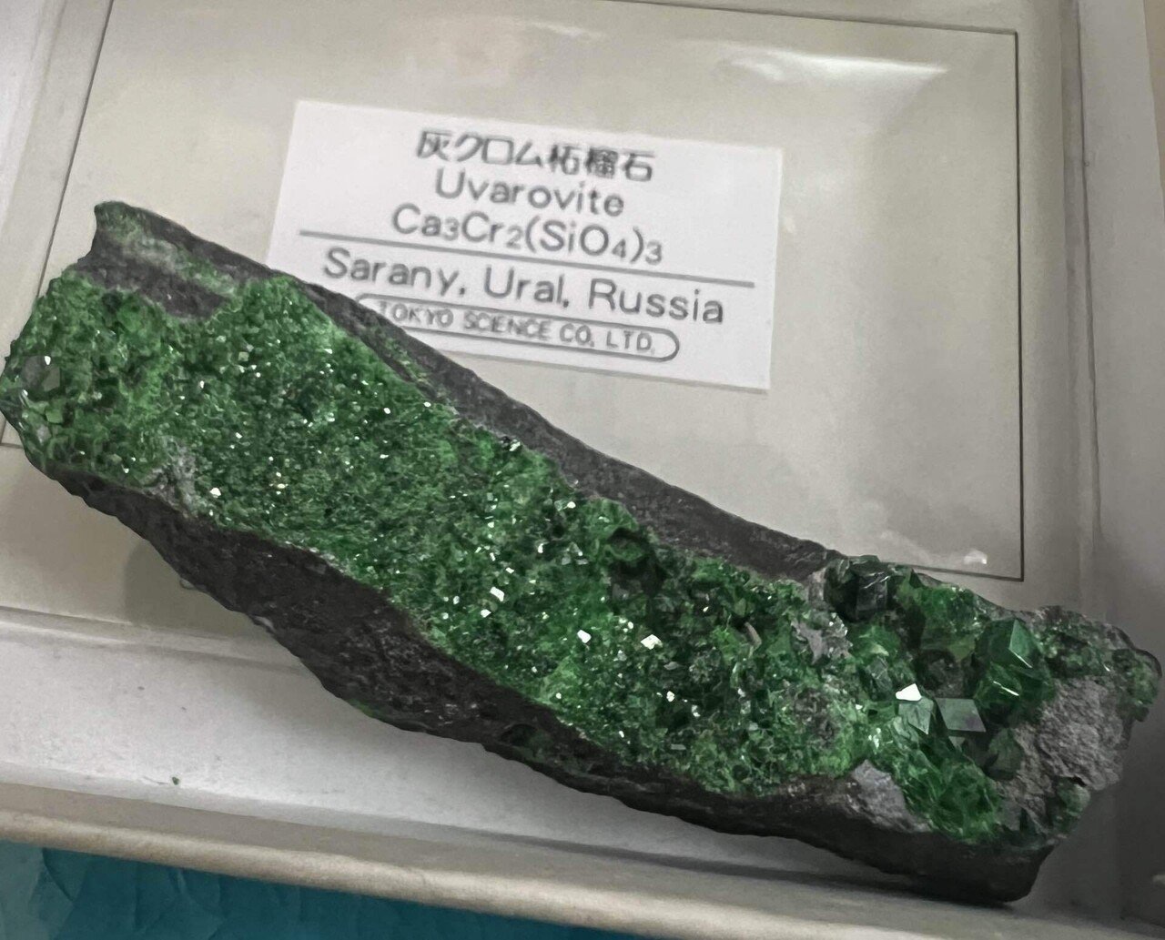 ガーネット好きは見逃さない！本屋で出会った灰クロム柘榴石の鉱石標本