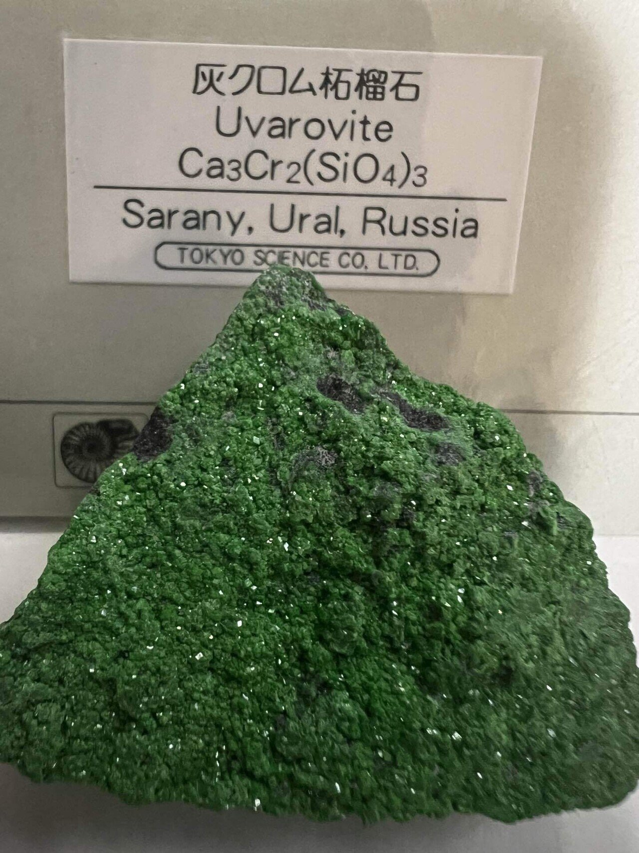 パワーストーン 天然石 ウバロバイト（灰クロムざくろ石）13g No.822