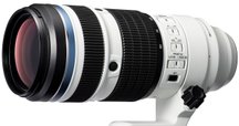 超望遠レンズ⭐Canon EF 75-300mm 運動会・スポーツ観戦・野鳥 コンパクトな望遠レンズを買ったので野鳥が撮れるか試してみた｜chov