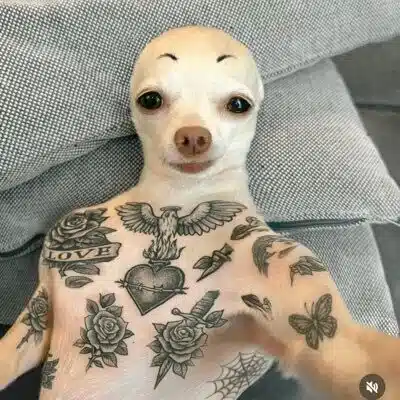 那苑葉