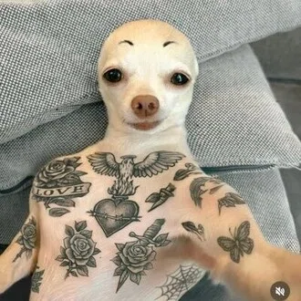 那苑葉