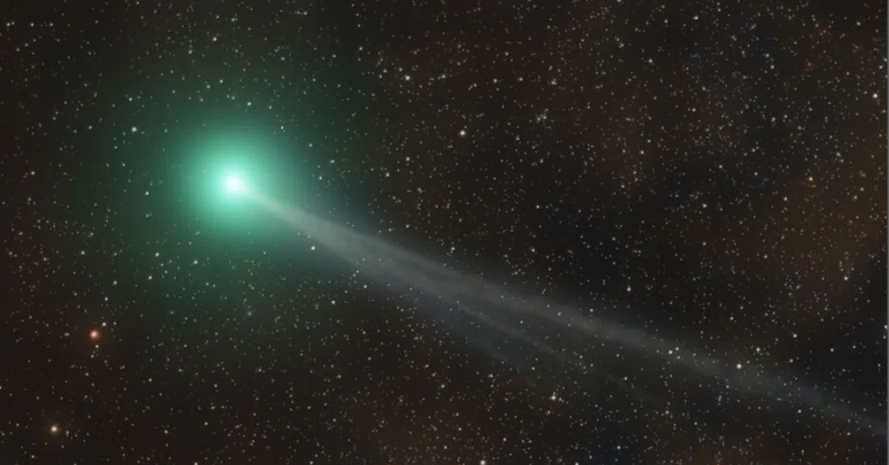 In October 2025, Comet Lemon is coming! Let's look up at the night sky ...