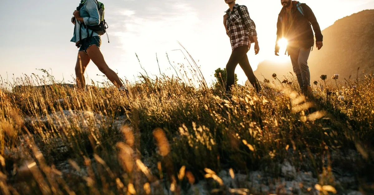 歩行に学ぶ。「安定」は「不安定」の中にある｜たくみkids運動教室｜理学療法士による発育発達note
