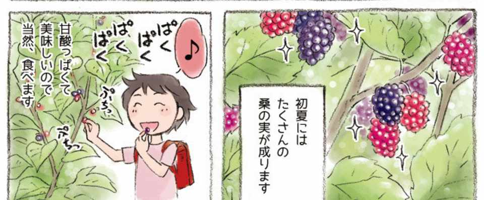 つれづれグンマー 第6話 どどめ イラストレーター 吉田 暁 Note