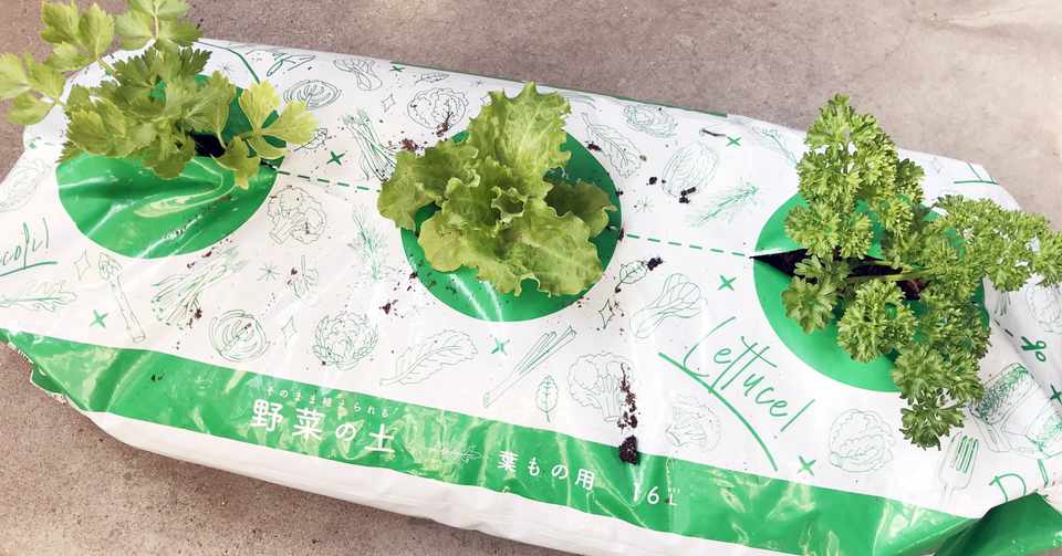 休日にすぐできる 家庭菜園にらくらくトライできる そのまま植えられる野菜の土 登場 ナフコ スタッフ Nafco Staff Note
