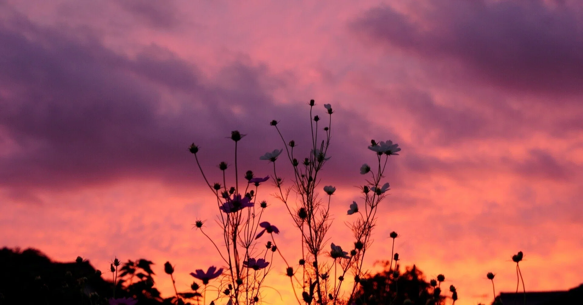 秋は夕暮れ｜hitoyasumi_hitoyasumi