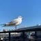 まったりゆったり