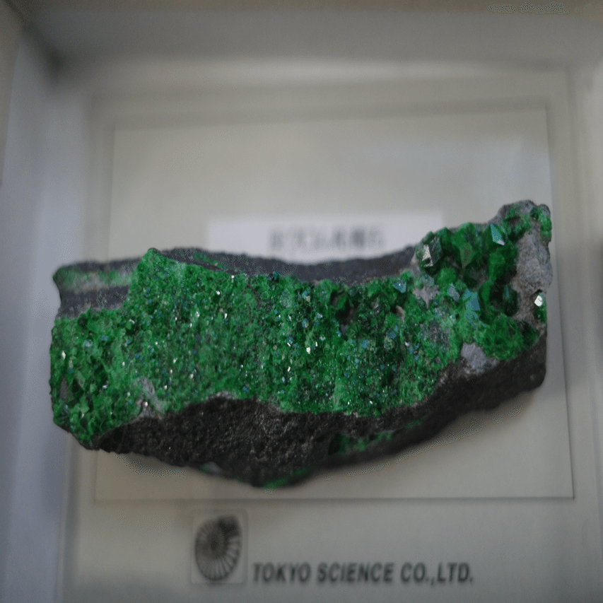 ガーネット好きは見逃さない！本屋で出会った灰クロム柘榴石の鉱石標本