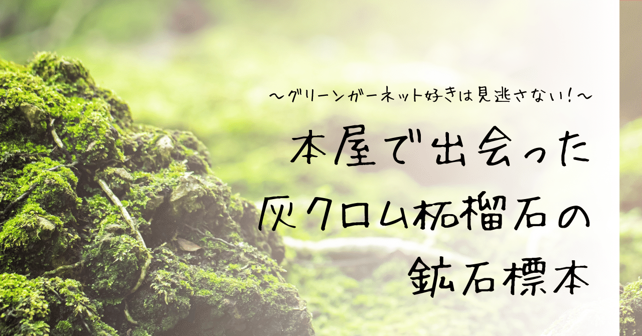 ガーネット好きは見逃さない！本屋で出会った灰クロム柘榴石の鉱石標本