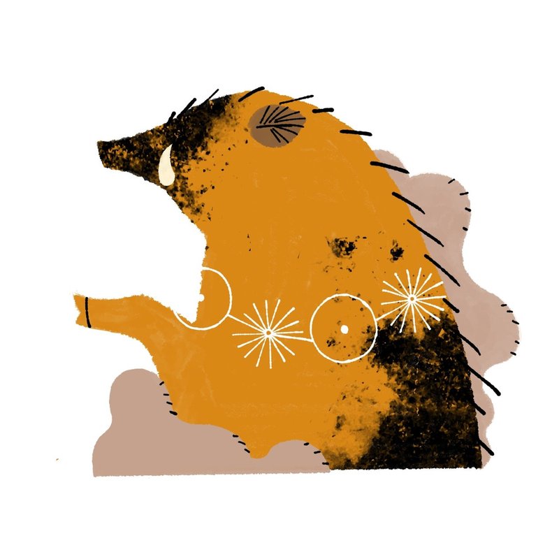 数字にどうぶつを当てはめてみたら こうなった 潜在数秘術オリジナル動物シリーズ 潜在数秘術協会 Note