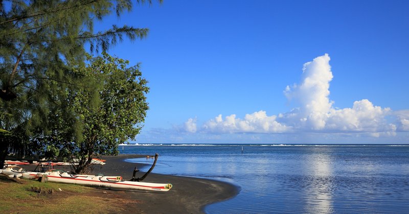 ポリネシア文化 の新着タグ記事一覧 Note つくる つながる とどける