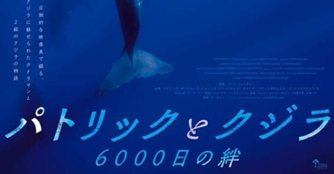 深海は神海その2～「パトリックとクジラ6000日の絆」～｜mahi