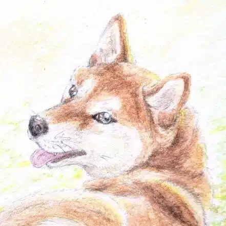 雨土音香 -動物絵と物語-