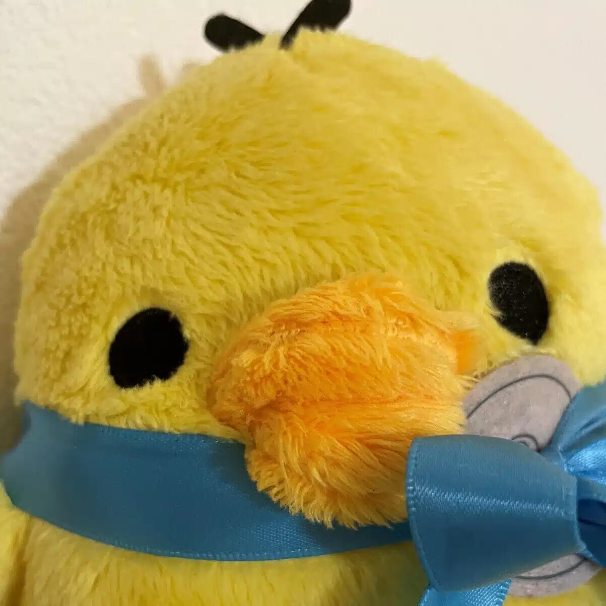 みぃ