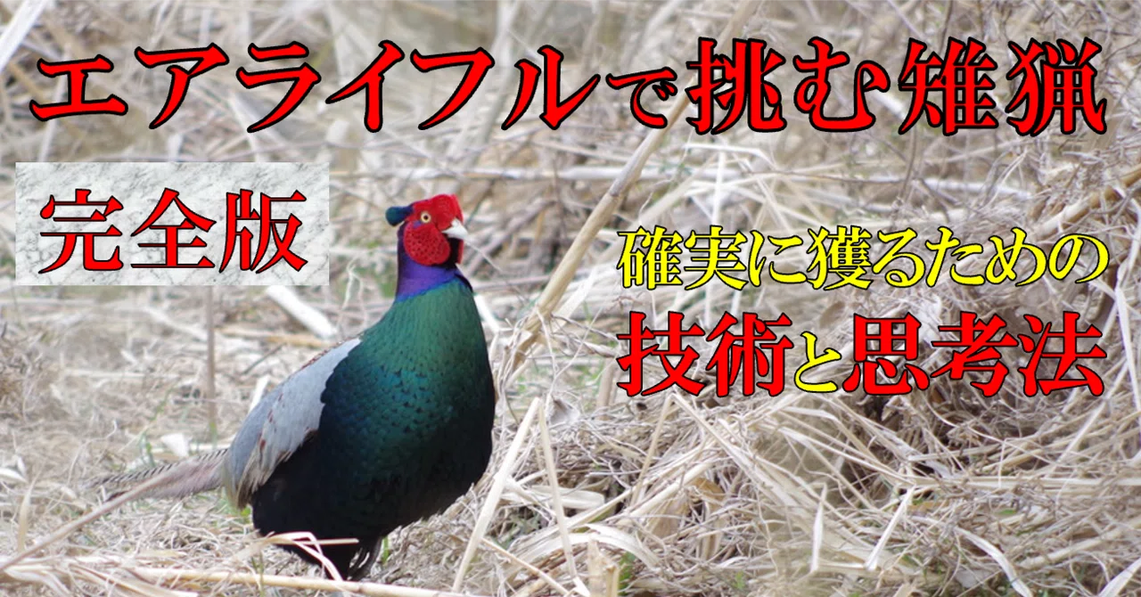 エアライフルで挑む雉猟 ― 確実に獲るための技術と思考法