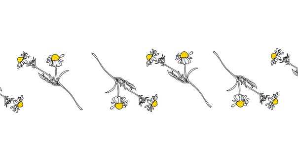 ハンガリー医学部 2020入試問題 過去問 ハンガリー医学部 入試問題 過去問 2020｜vilnalita.lt