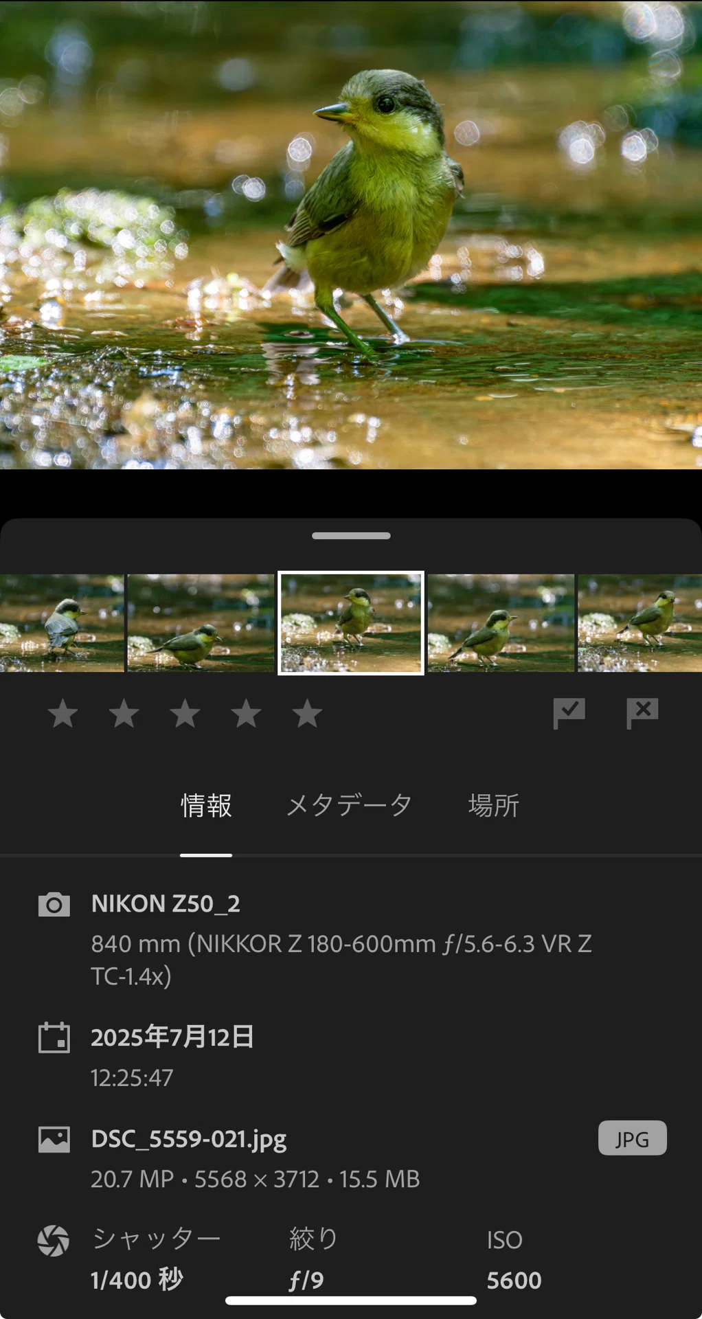 Nikon Zマウント用テレコンバーターを使ってみてわかったこと〜1.4倍は