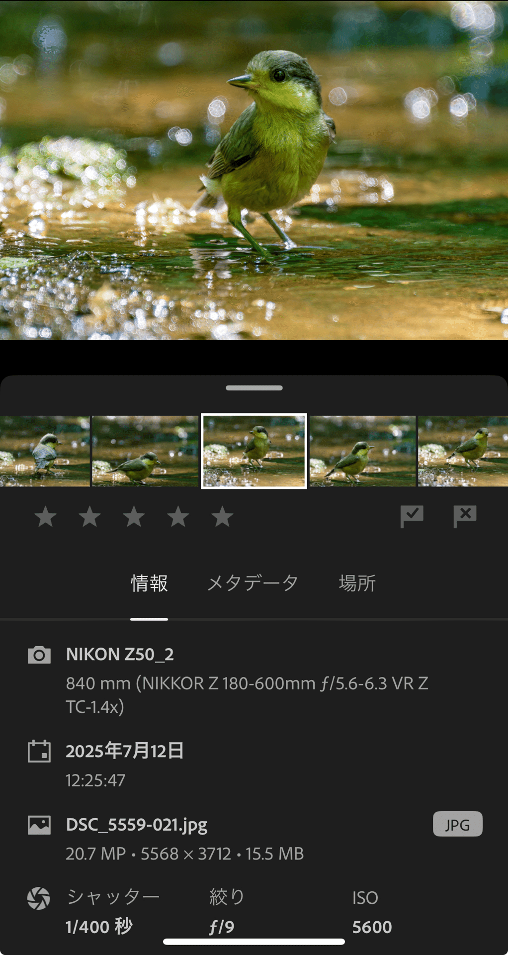 Nikon Zマウント用テレコンバーターを使ってみてわかったこと