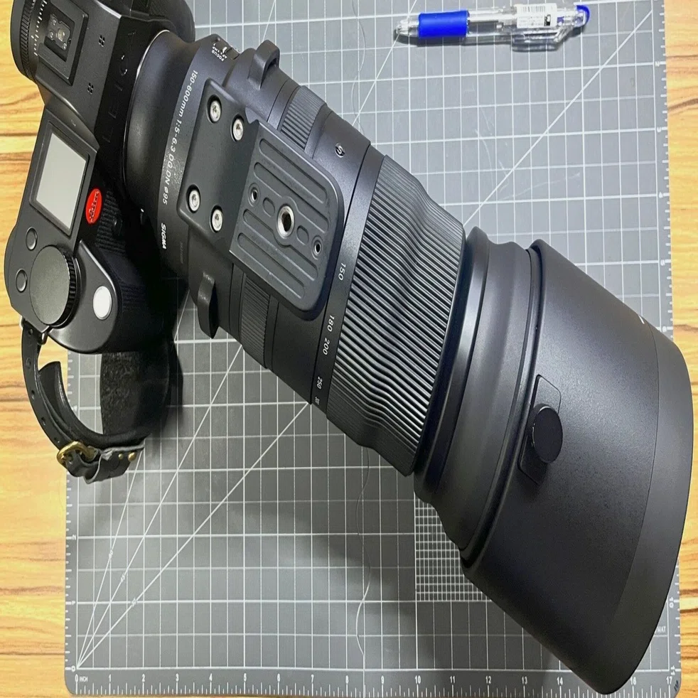 SIGMA 150-600mm F5-6.3 DG DN OS 明日まで割引 SIGMA 150-600mm F5-6.3 DG DN OS Sports購入＆野球撮影の話