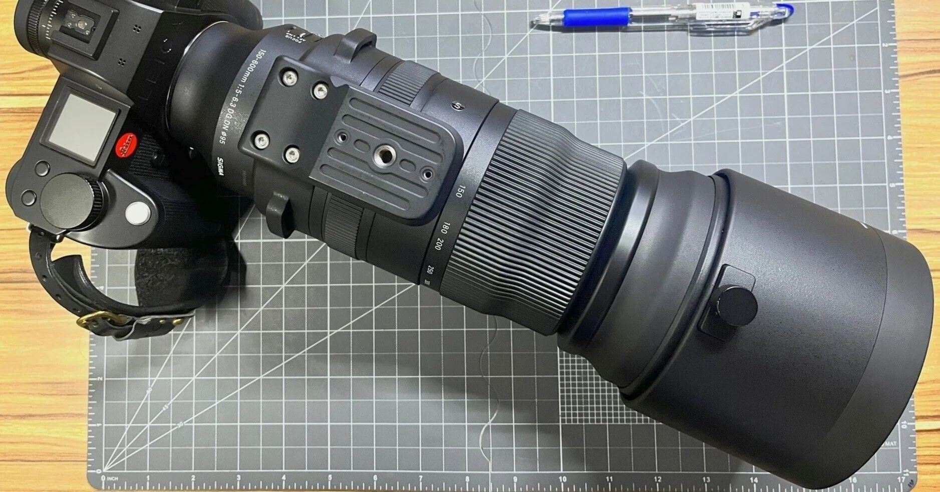 SIGMA 150-600mm F5-6.3 DG DN OS Sports購入&野球撮影の話 SIGMA 150-600mm F5-6.3 DG DN OS Sports購入&野球撮影の話