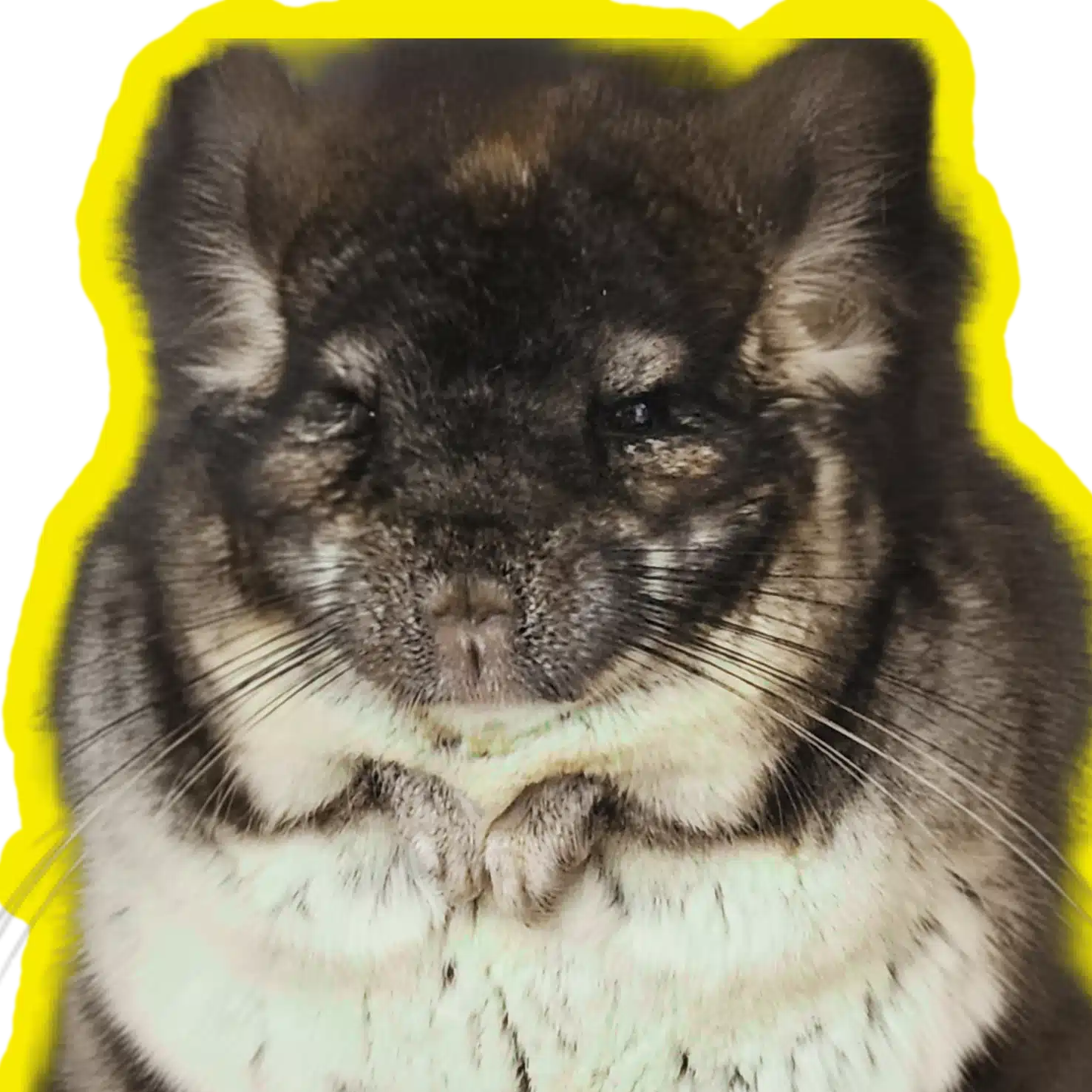 ちねつ