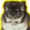 ちねつ