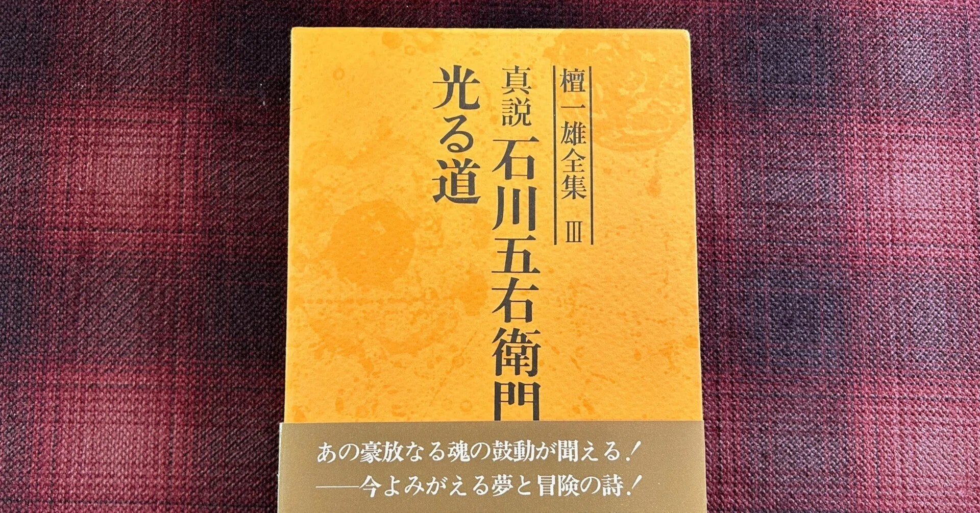 檀一雄全集を読む】第三巻「真説石川五右衛門」 ｜水鳥葛（mizudori kuzu）