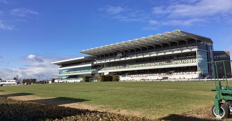 温泉ダビマス名人戦エリア予選・敗者復活戦レース条件案