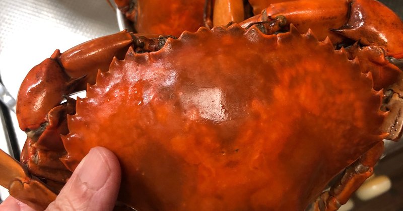 大田市場で買付けて来た蟹が美味し過ぎたので、蟹尽くしを満喫した話