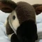okapi_kun