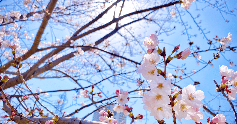 卒園式や入学式は かわいそう でも よかったね でもなく おめでとう 田中 慎 Note