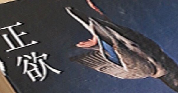 ビッグ プロット -The Big Plot- 読みました！｜深田萌絵さん