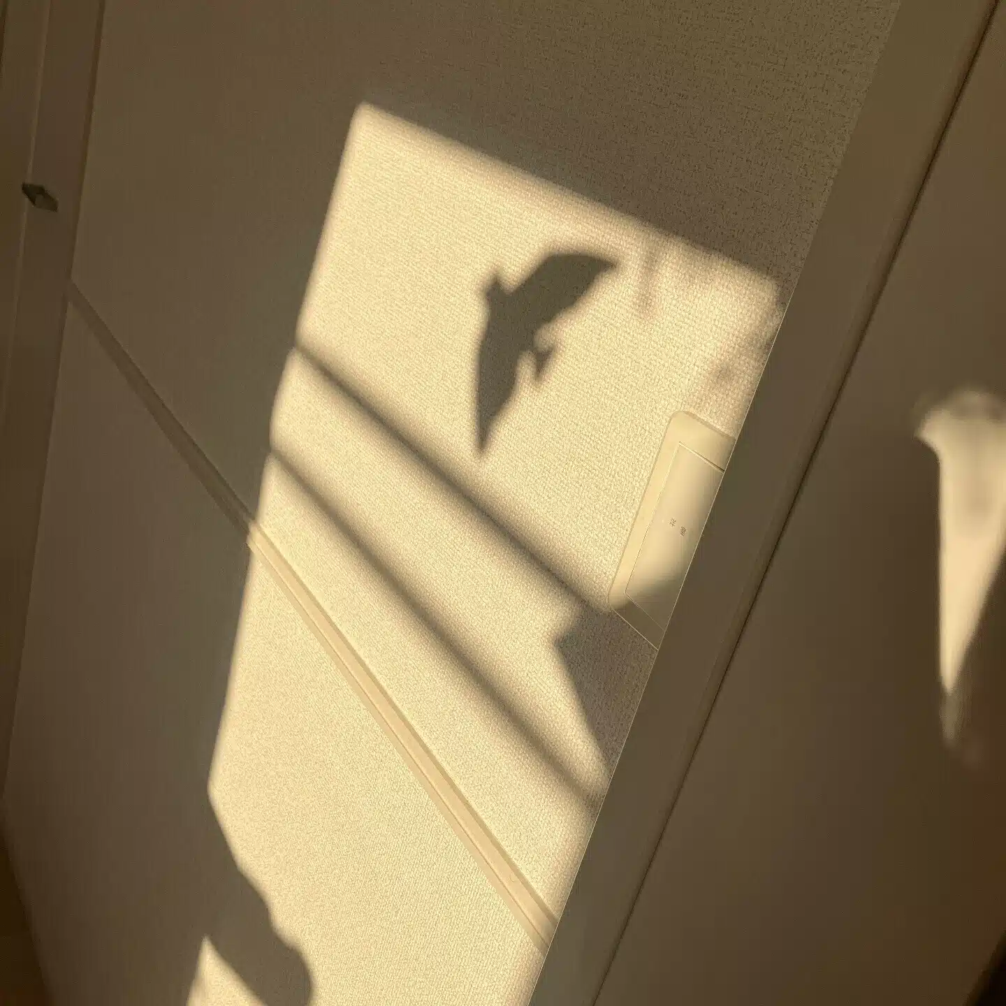 さしより