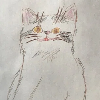 ぽんちょ