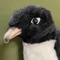 デンキペンギン