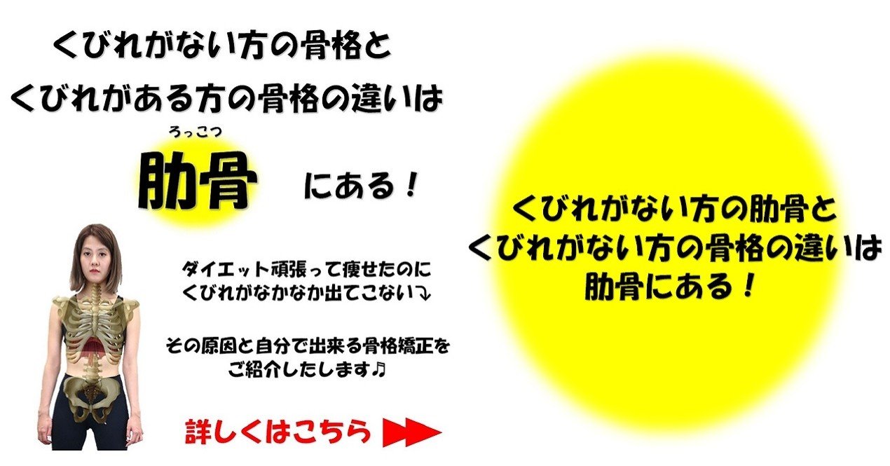 くびれがない方の骨格とくびれがある方の骨格の違いは肋骨にある Revisionginza Note