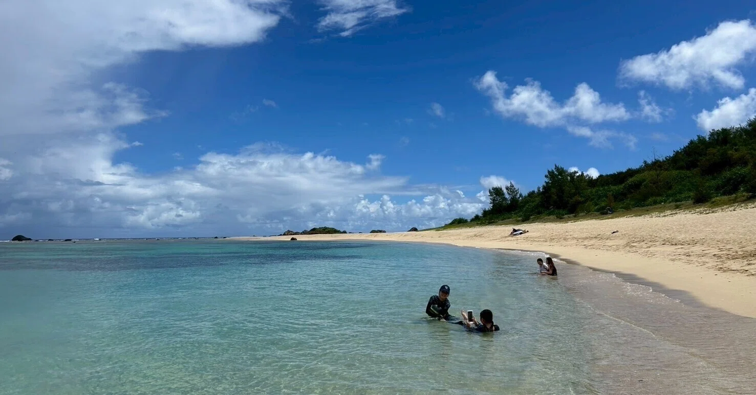 奄美 大島 嫌い