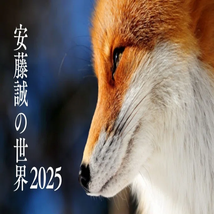 【中古】 四谷大塚完全ガイド ’90年度版 安藤明，森上展安 ，声の教育社編集部 安藤誠の世界」全国講演ツアー2025｜Hickory Wind 至誠塾 ～ Life as