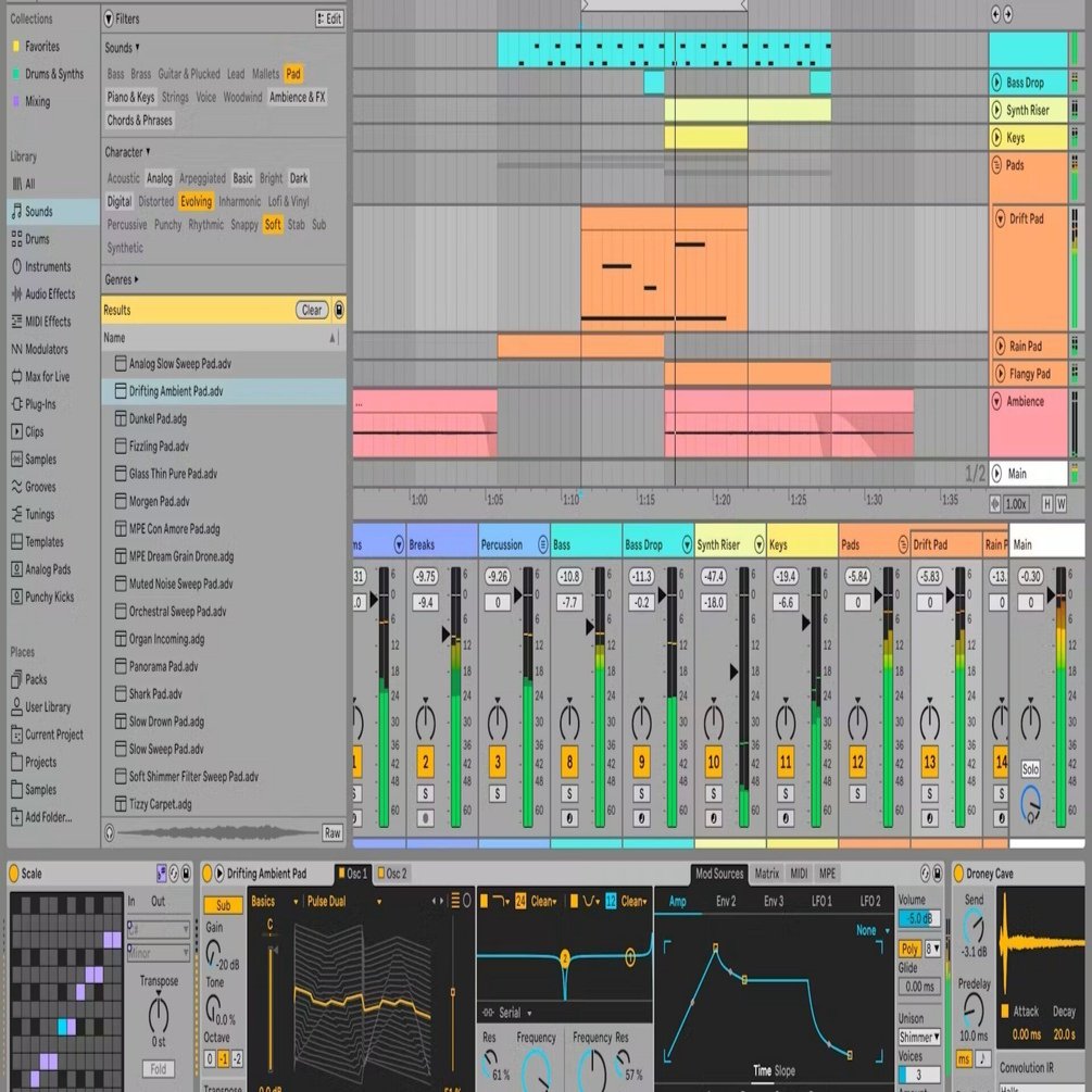 Ableton Live 12 Standard奮闘記 その1 〜Liteからアップグレードした