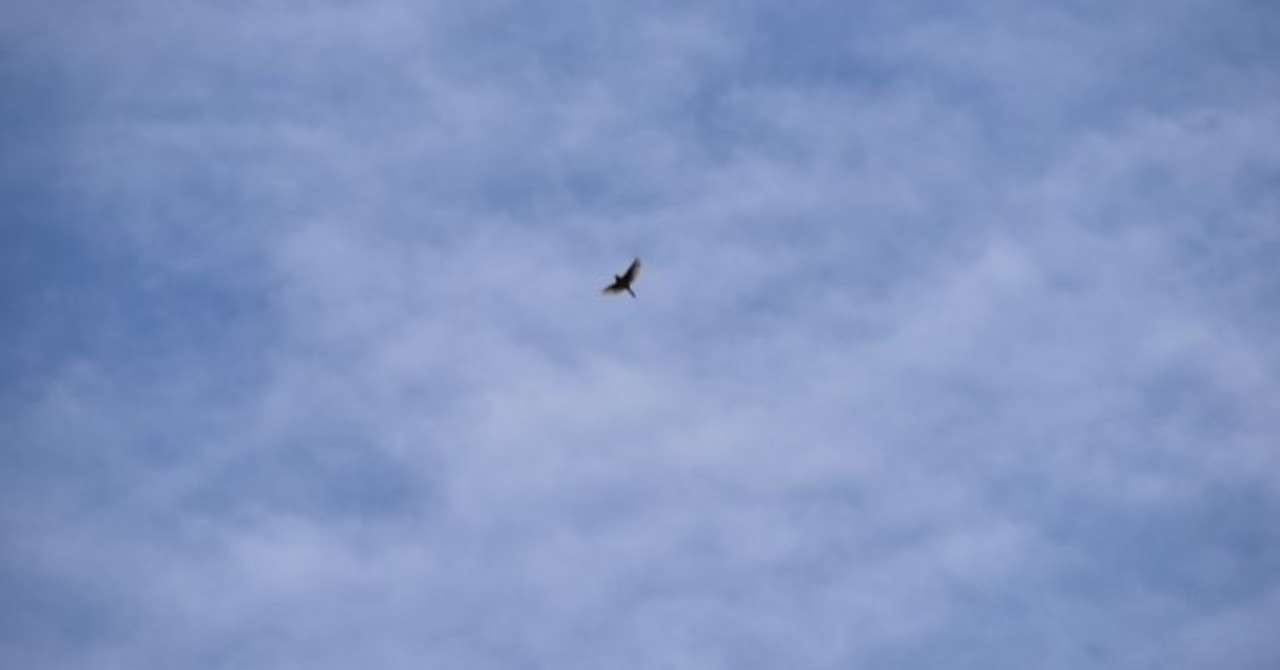 あがりてもまだこんななの揚げ雲雀 West Side Nod Note あがりてもまだこんななの揚げ雲雀 West Side Nod Note