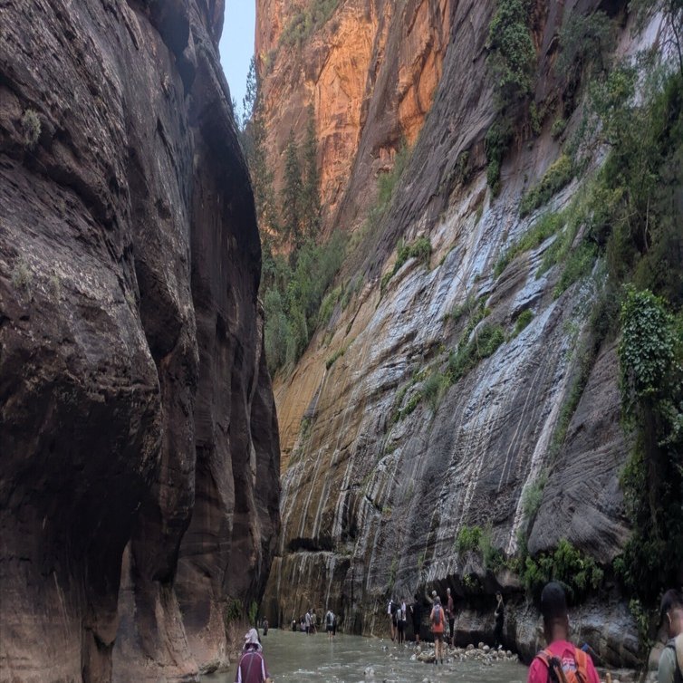 真夏のザイオン国立公園でザ・ナロウズの川のぼりハイキングをやって