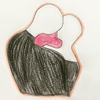 映画 軍中楽園 あらたまき Note