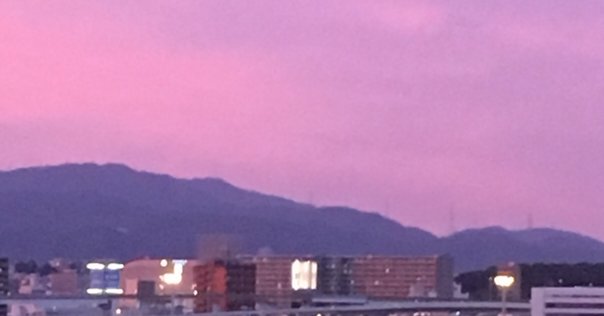 アール・ブリュット・コレクション（Collection de L'Art Brut