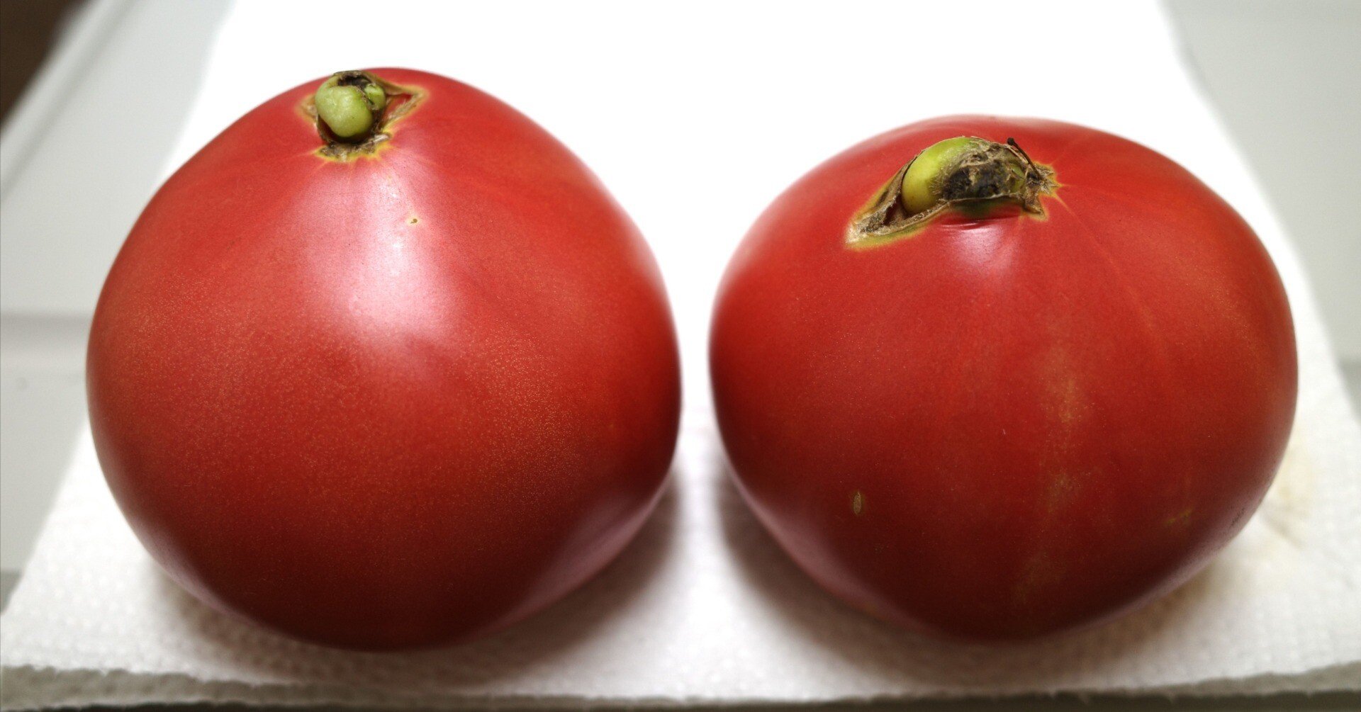 トマト様　確認画面 おいしいトマトの見分け方・選び方 | 生活知恵袋 | 生活知恵袋