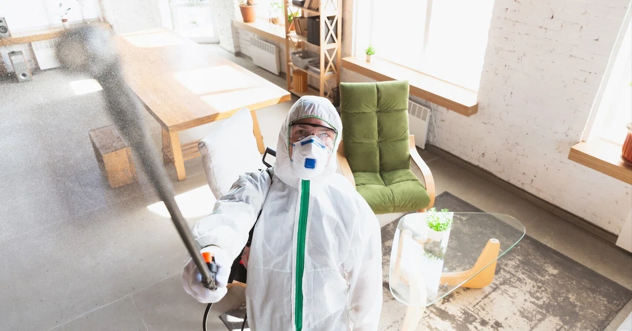 The Relationship Between 'Air Quality' and 'Brain Health' Revealed by a ...
