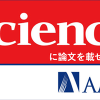 研究のススメかた 論文のタイトルは ハッとするものを 誠実に 松永正樹 コミュニケーション学博士 Note 研究のススメかた 論文のタイトルは ハッとするものを 誠実に 松永正樹 コミュニケーション学博士 Note